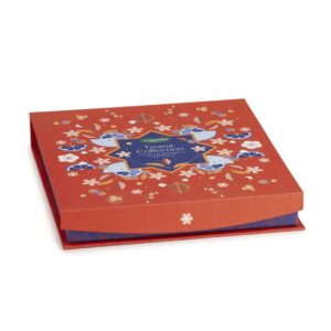 Neavita Tisana Collection Cofanetto Quadrato Rosso 27 Filtri