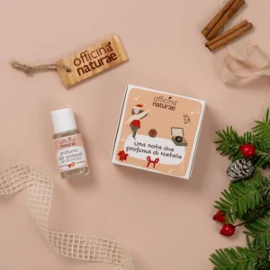 Officina Naturae Profumo per Ambiente Arancio e Cannella con Diffusore in legno